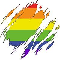 RIPPED GAY PRIDE RAINBOW FLAG by Rainbow Designs 