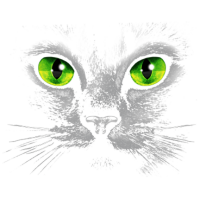 CAT GREEN EYES by Simplyart