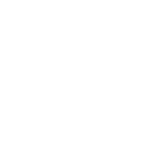 HIDE AND SEEK CHAMPION by Trndz