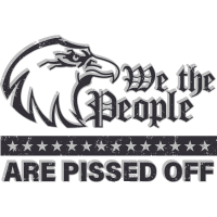 WE THE PEOPLE ARE PISSED OFF (Bald Eagle Fight For Democracy) by Jaybmz