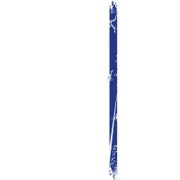 THIN BLUE LINE AMERICAN FLAG